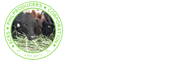 Aces PhilProducers Corporation